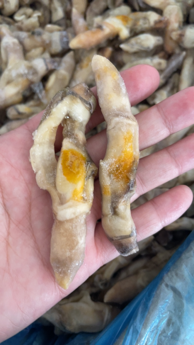 产地直销蛏王肉去沙嘴蛏王肉海蛏子肉圣子肉海鲜水产