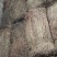 大别山野生冷背高含量中药材断血流灯笼草