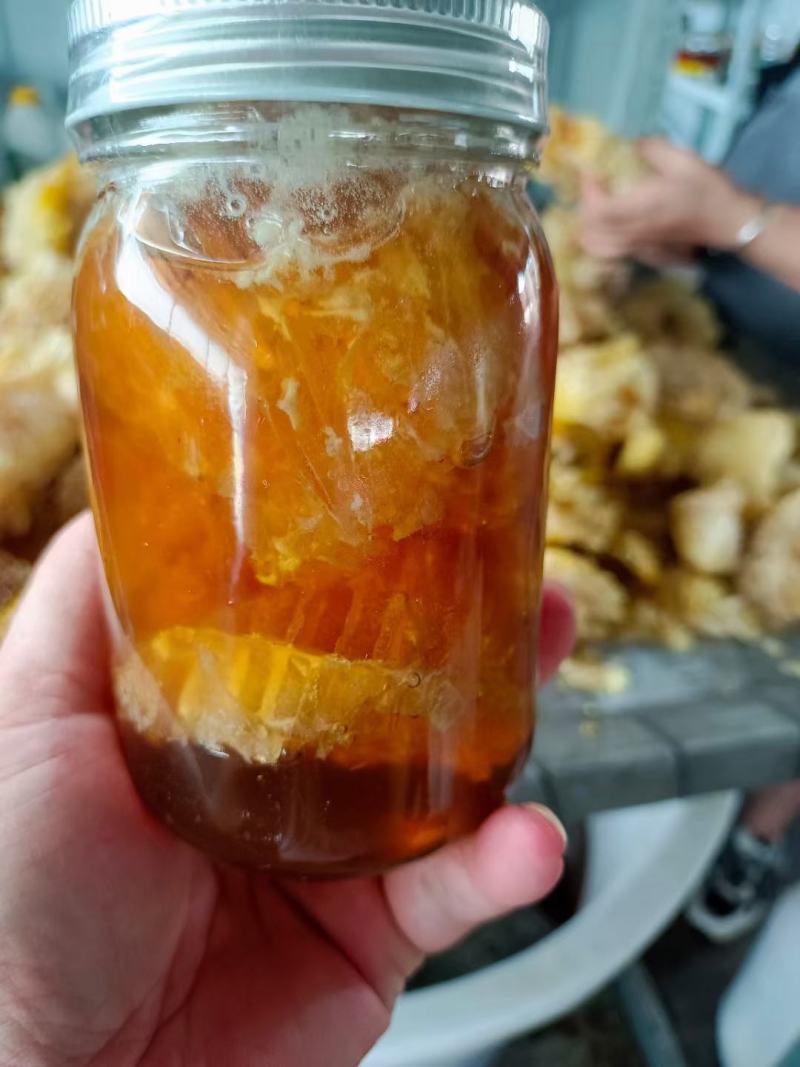 真正正宗土蜂蜜天热野生农百花蜜土蜂蜜巢可以嚼着吃有巢有蜜
