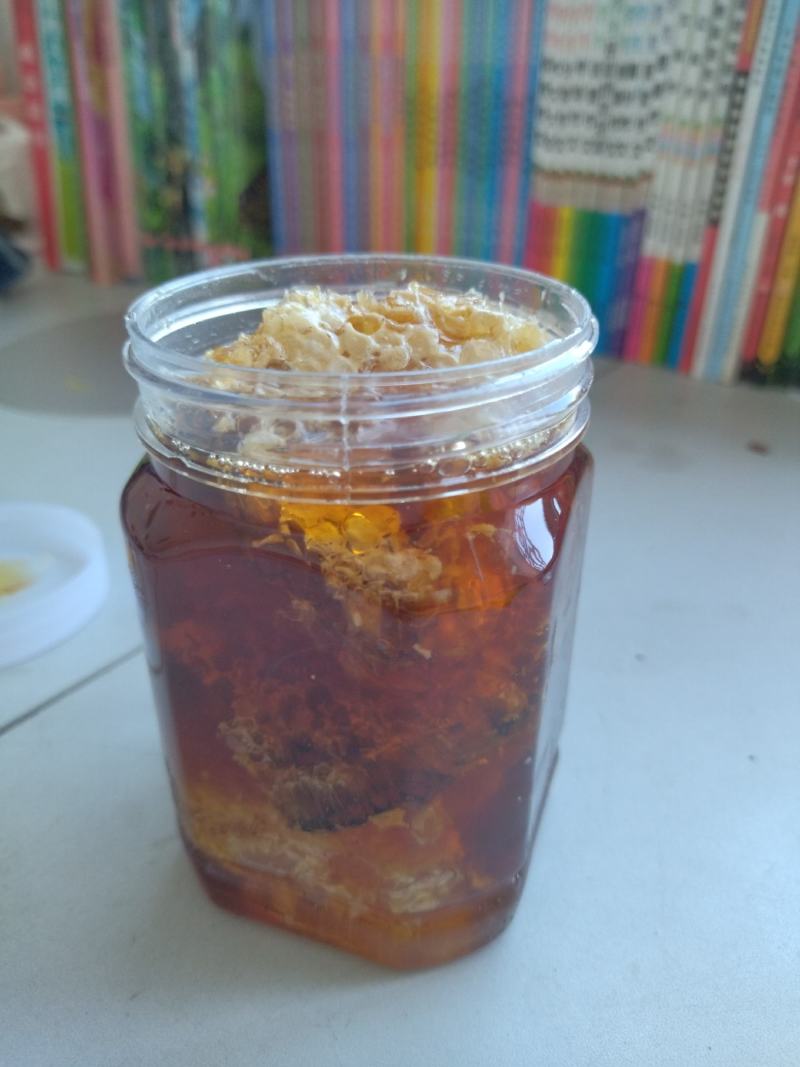 真正正宗土蜂蜜天热野生农百花蜜土蜂蜜巢可以嚼着吃有巢有蜜