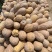 【实力商家】湖北南瓜精品金韩密本南瓜货源充足价格便宜