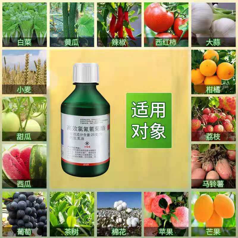 先正达氯氟氰菊酯劲彪功夫果树烟草潜叶蛾蚜虫青虫黏虫杀虫剂
