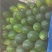 本地大家量冬瓜，产地直发销，欢迎新老客户采购