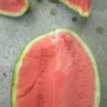 西瓜