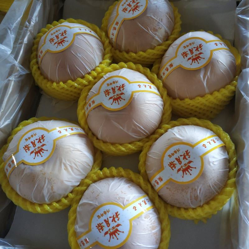 精品秋月梨大宗批《产地大量一件代发》秋月梨。电商，微商，