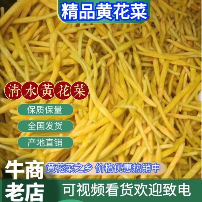 清水黄花菜保鲜菜药菜黄花菜预制菜食品厂原材料供应