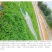 百喜草种籽宽叶草种子护坡绿化草种畜禽牛羊鱼免宽叶草种子
