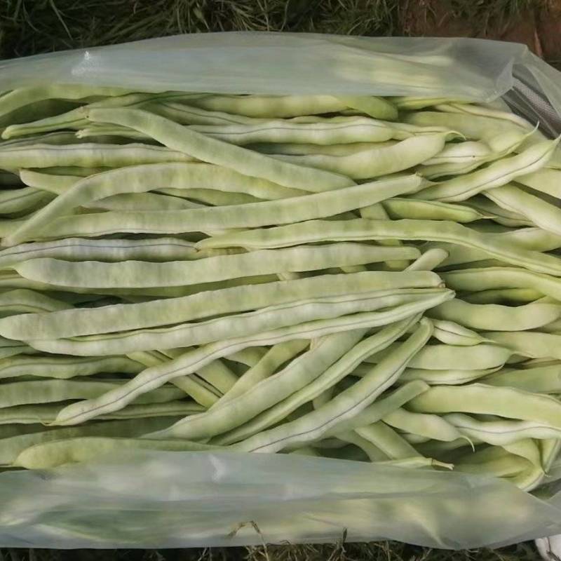 豆角代收