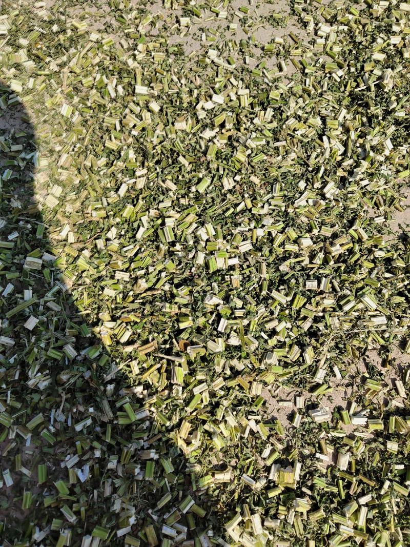 益母草，纯青益母草今年新货，产地一手货源自产自销产地山东