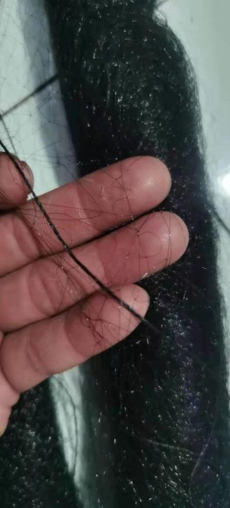 单丝防鸟网防麻雀斑鸠适用谷子枸杞樱桃西瓜豆丹养殖