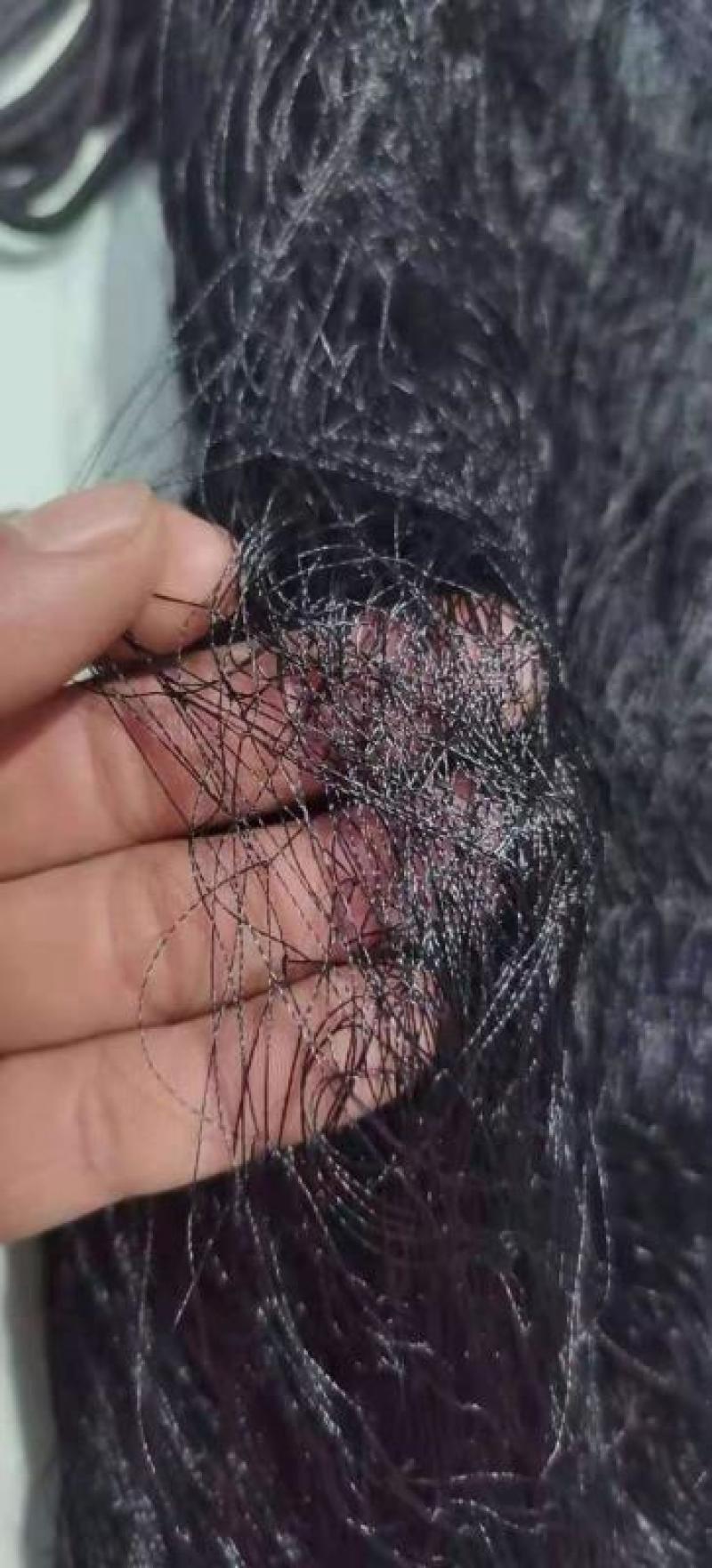 单丝防鸟网防麻雀斑鸠适用谷子枸杞樱桃西瓜豆丹养殖