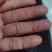 单丝防鸟网防麻雀斑鸠适用谷子枸杞樱桃西瓜豆丹养殖