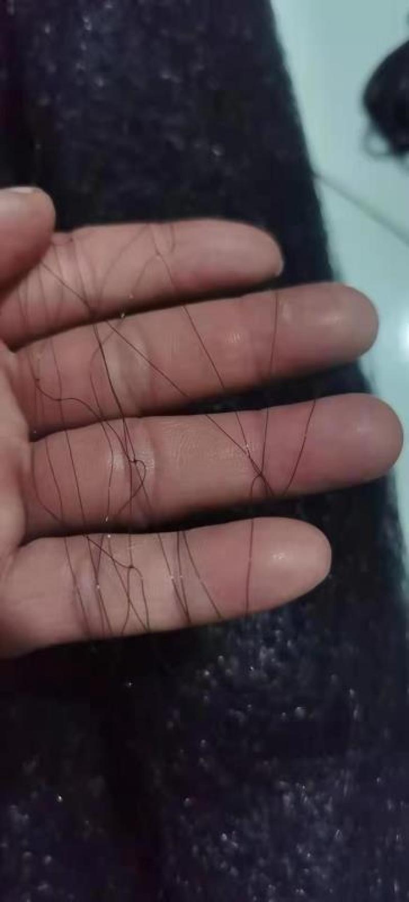 单丝防鸟网防麻雀斑鸠适用谷子枸杞樱桃西瓜豆丹养殖