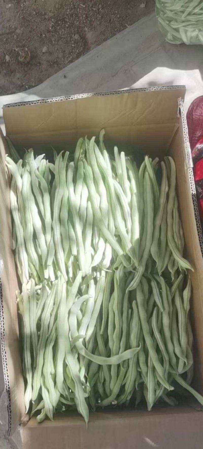淳化县精品白肉豆，需要优质货源的老板欢迎来电洽谈