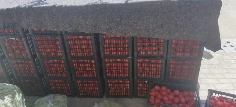淳化县精品白肉豆，需要优质货源的老板欢迎来电洽谈