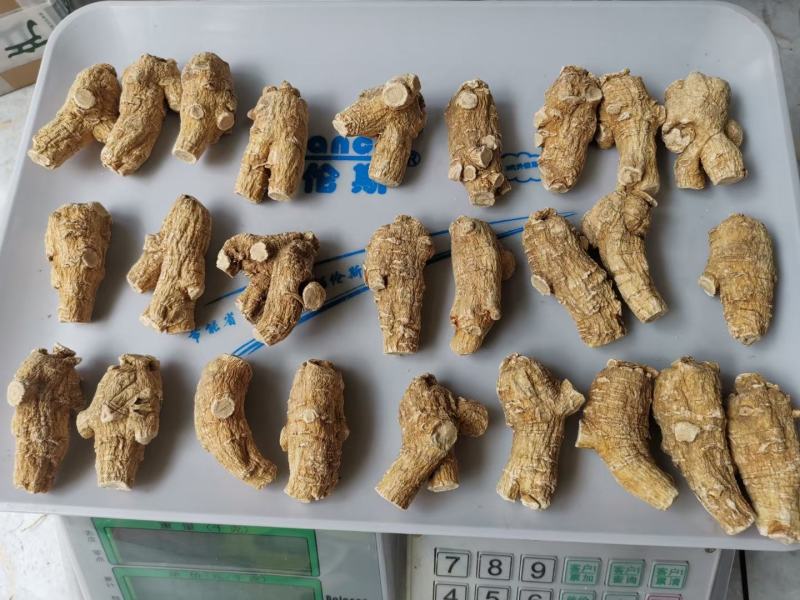【加拿大西洋参】进口花旗参西洋参粒头切片磨粉干货无硫