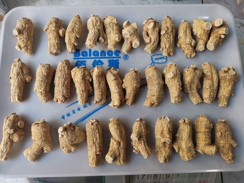 【加拿大西洋参】进口花旗参西洋参粒头切片磨粉干货无硫