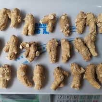 【加拿大西洋参】进口花旗参西洋参粒头切片磨粉干货无硫