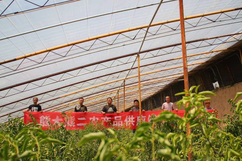 「荐」精品冬枣上市，来自大荔产地，现摘现发坏果包赔。