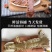 皮皮虾鲜活一名虾爬子超特大批发海鲜海虾新鲜蒸熟全母带膏