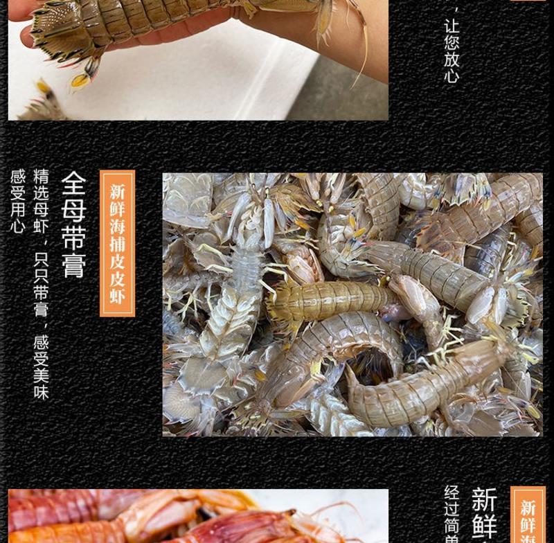 皮皮虾鲜活一名虾爬子超特大批发海鲜海虾新鲜蒸熟全母带膏
