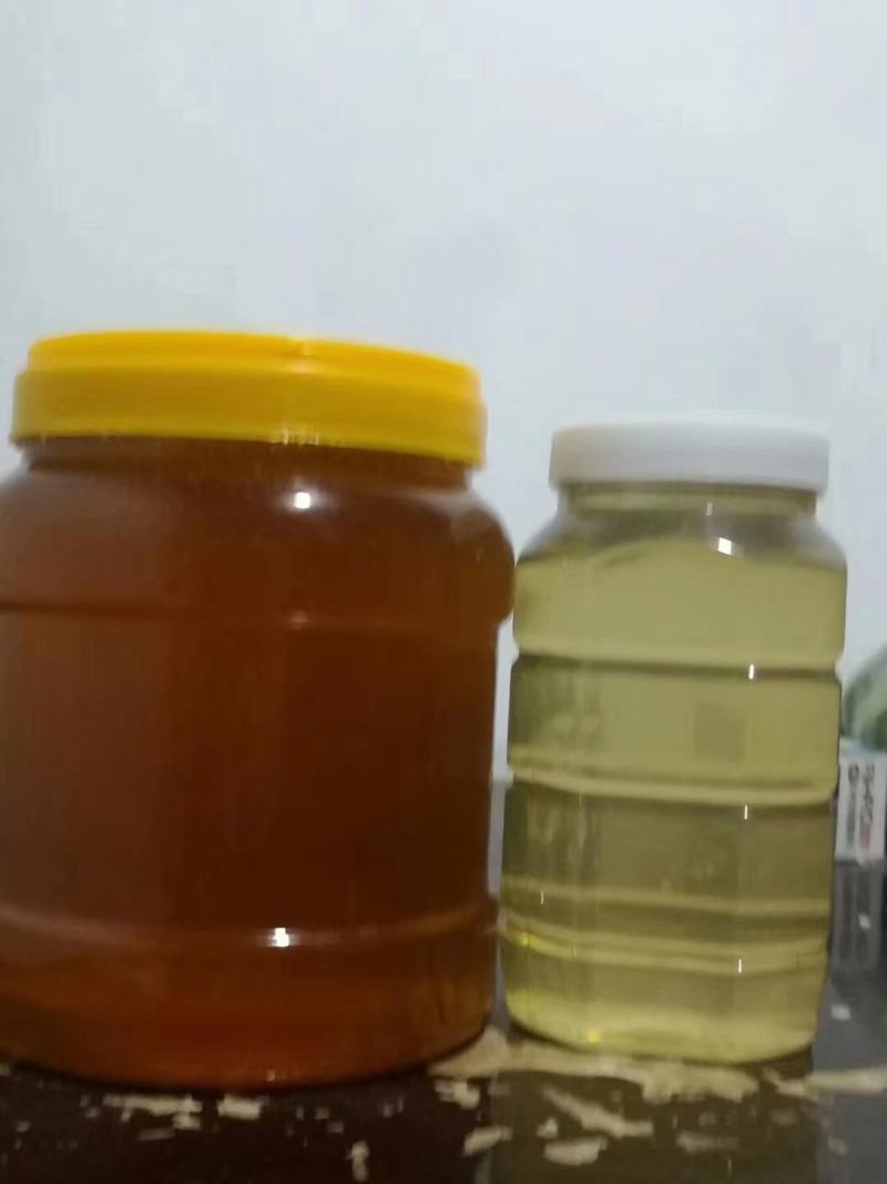 枣花蜜，槐花蜜，货源充足，欢迎各位老板前来选购。