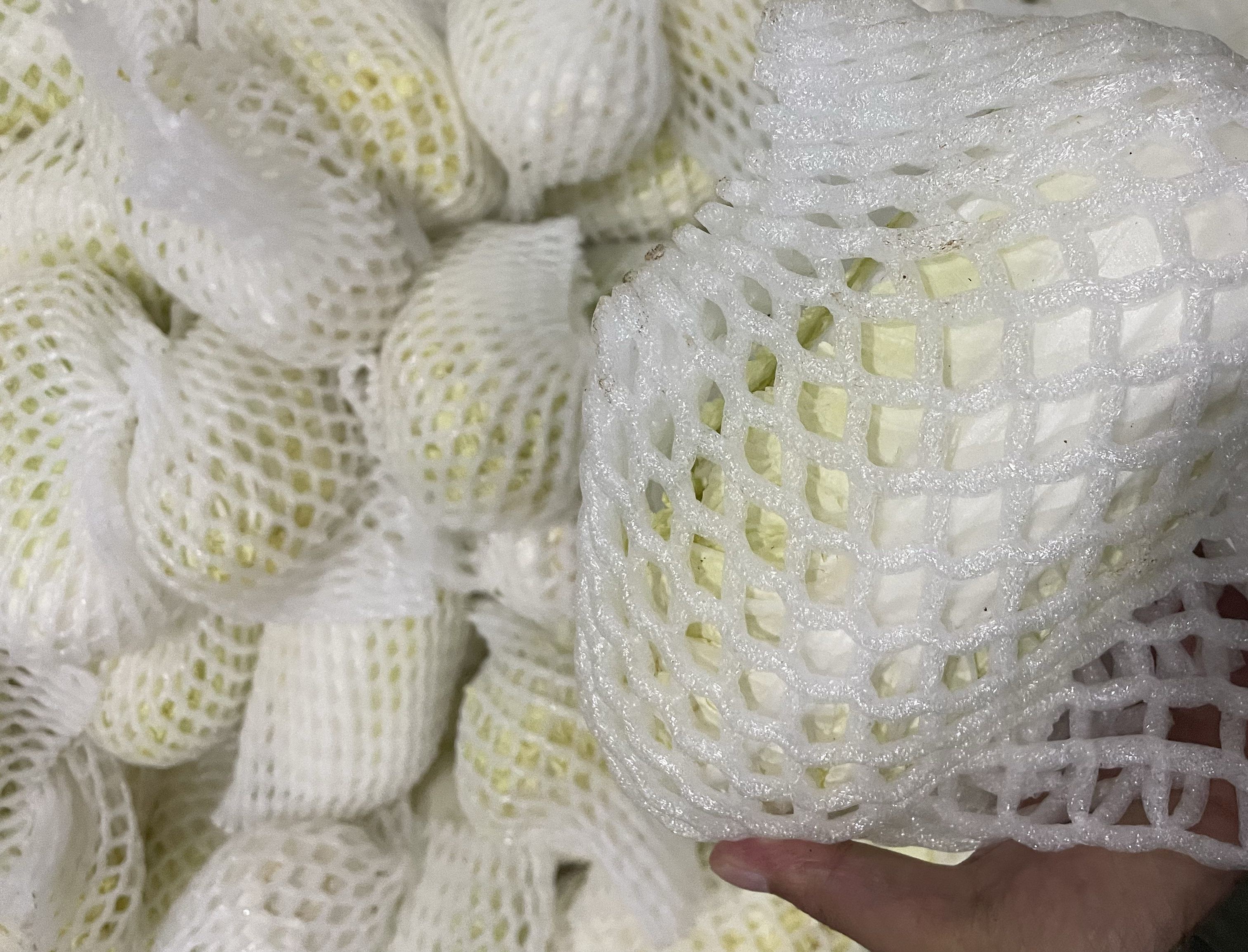 不同白菜品种对比图