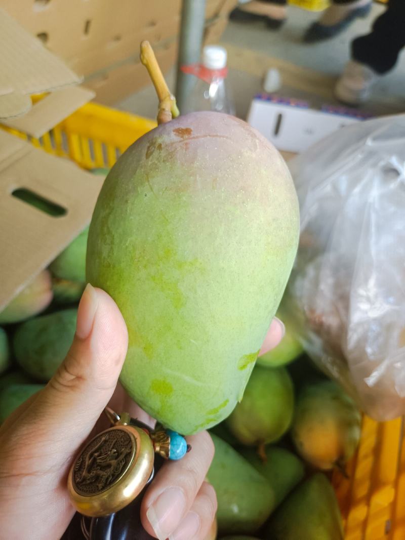 广西百色一二级芒果