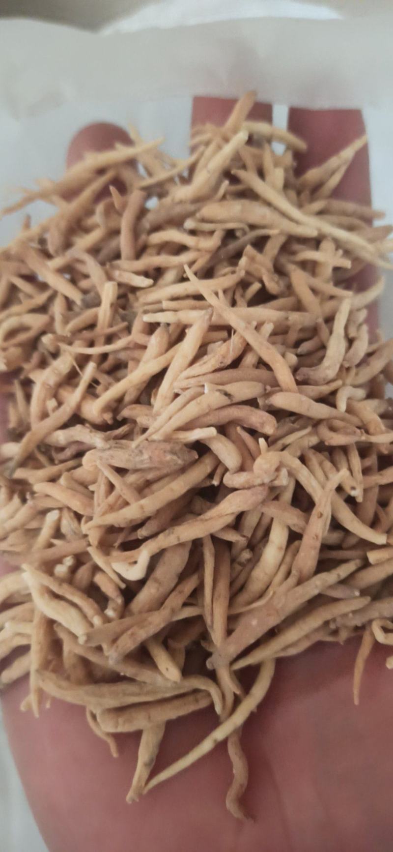 太子参中药材批发太子参质量保证量大从优