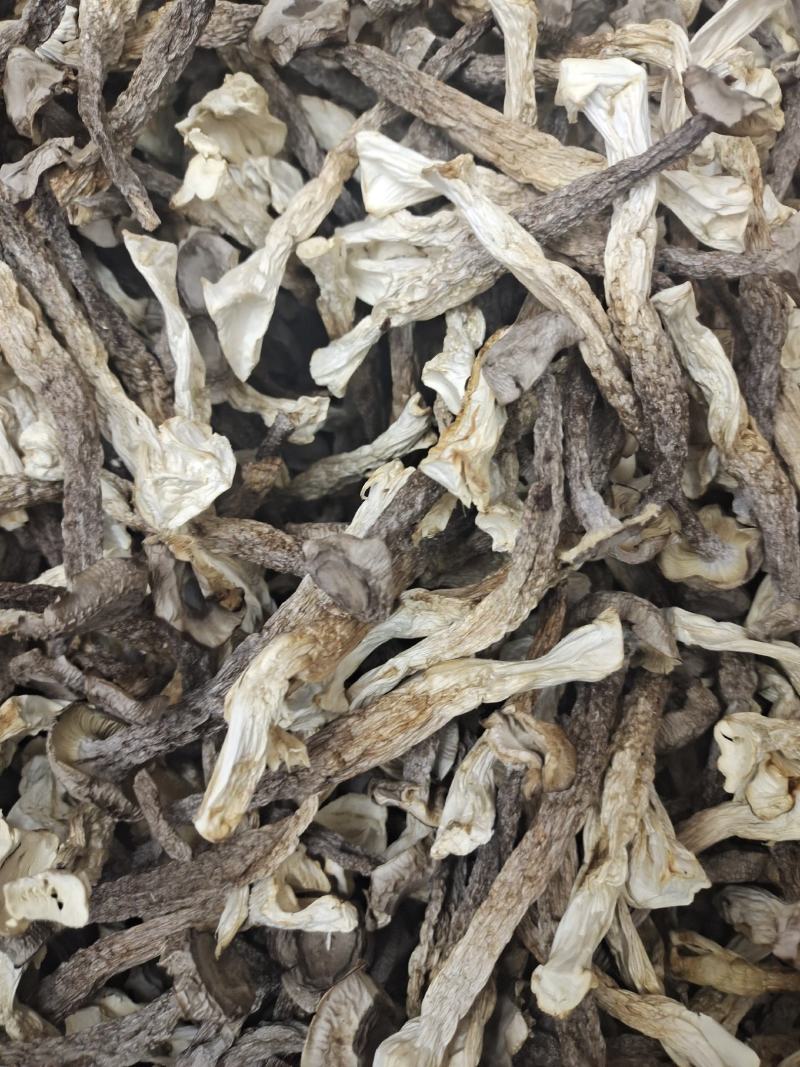 宁夏菌业大量批发鹿茸姑鸿运干货批发价格购欢迎联系