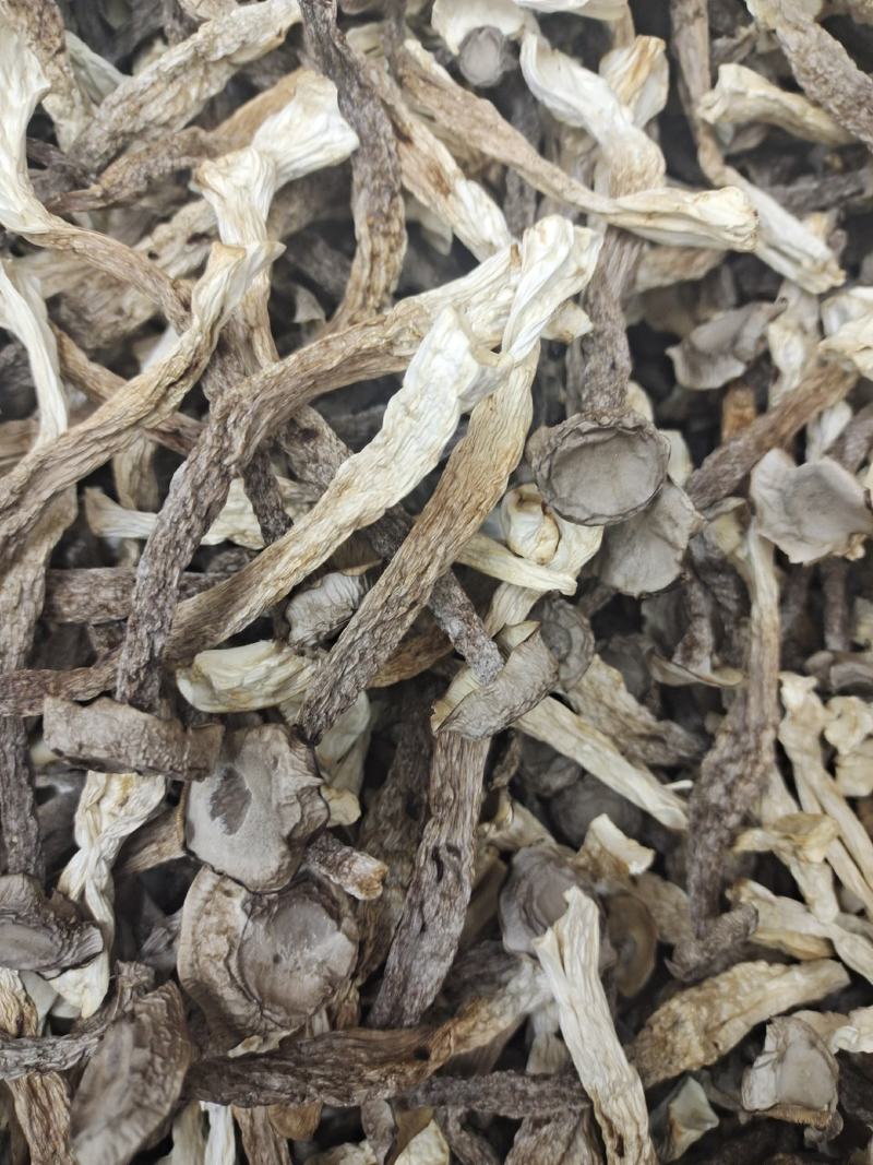 宁夏菌业大量批发鹿茸姑鸿运干货批发价格购欢迎联系
