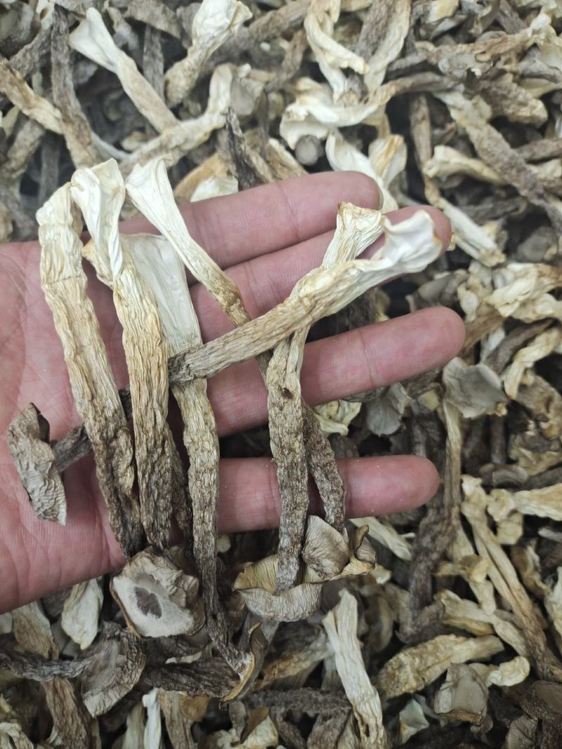 宁夏菌业大量批发鹿茸姑鸿运干货批发价格购欢迎联系