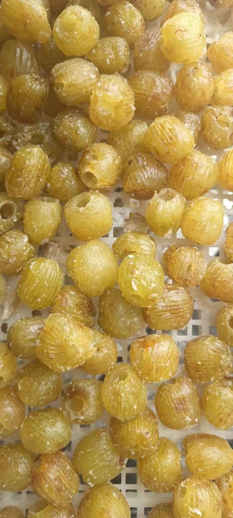 无核蜜枣货源充足欢迎各位老板前来选购下单