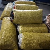 新鲜红豆花生