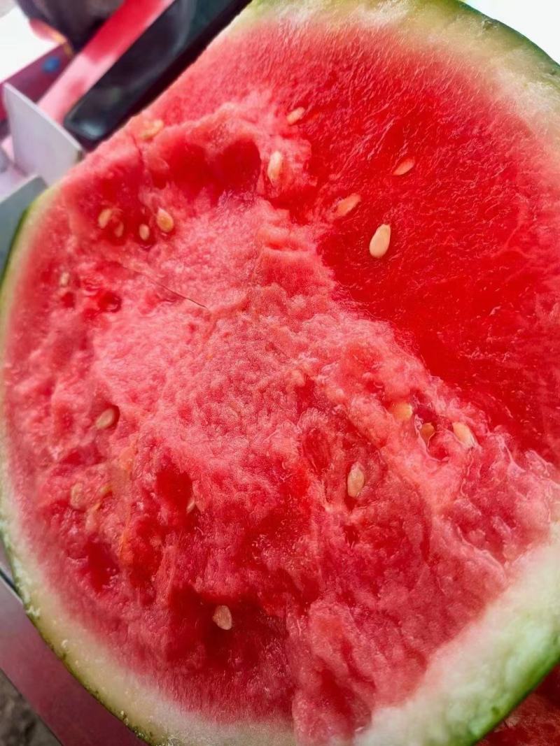 【推荐】夏邑美都西瓜包熟包甜全国代发欢迎来电咨询