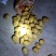 【精品】三两通天黄心大土豆，袋装摆面货