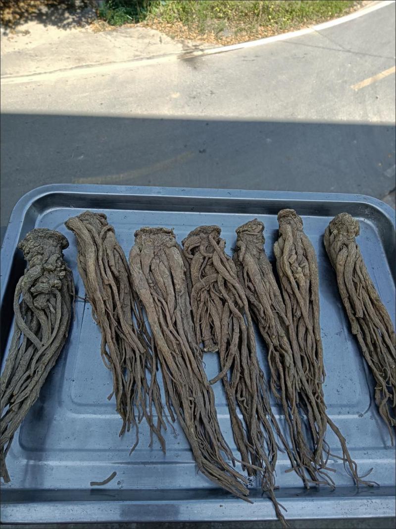 当归中药材当归头甘肃无硫当归个当归个子整条当归泡酒煲汤当