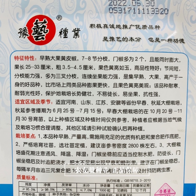 大果黄皮尖椒种子耐低温辣椒豫艺新金富808黄皮椒种子
