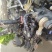 20年泰山1604，全车原版原漆带两米多旋耕机