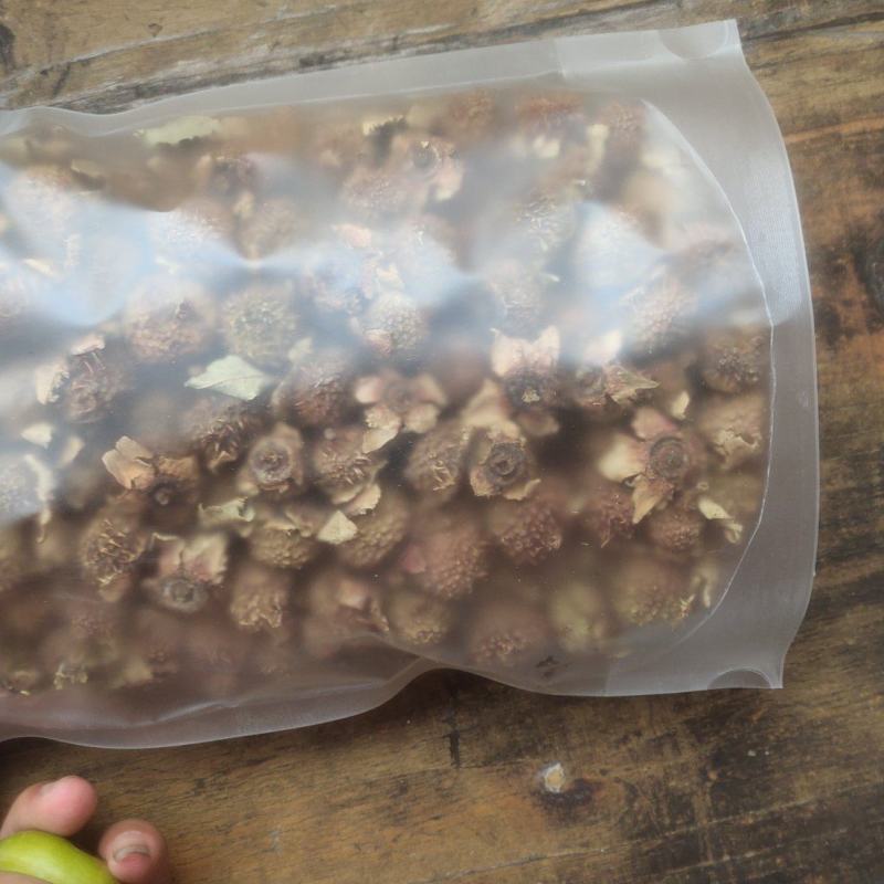 刺梨新货上市刺梨新的