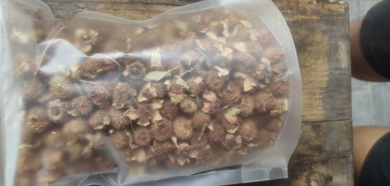 刺梨新货上市刺梨新的