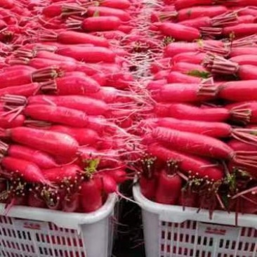 沙地精品货