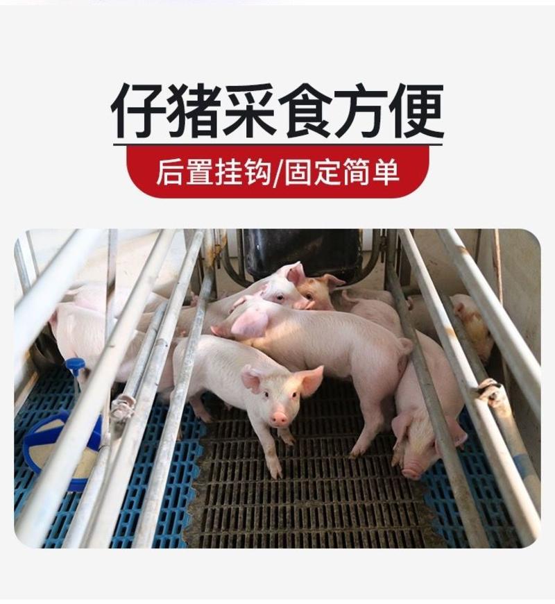 包邮仔猪塑料加厚小食槽多位采食补料槽圆形小猪料盆产床用