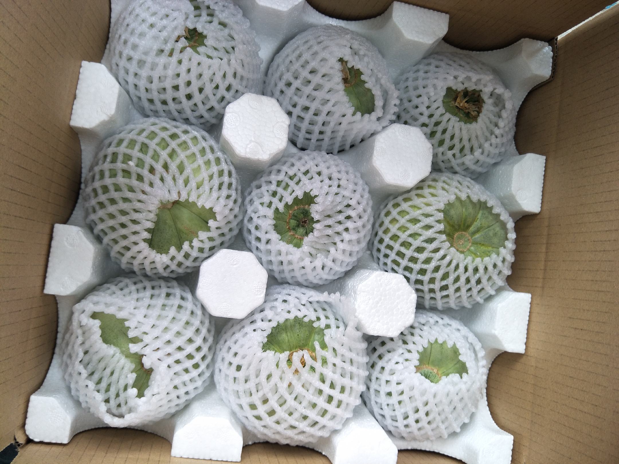 展示一款精美的脆甜瓜礼盒设计,包含两颗完整甜瓜和定制包装盒 脆甜瓜礼盒包装示意图