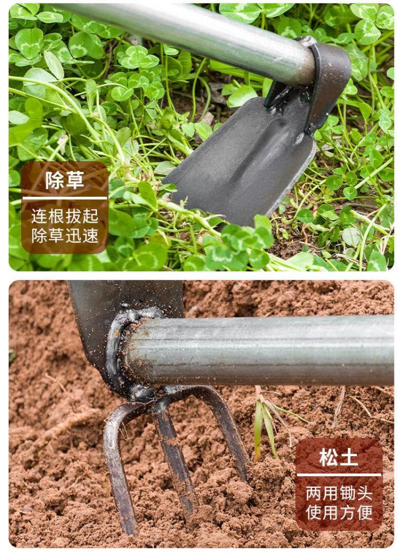 农用锄头园艺锄除草全钢两用耙锄小型双锄头双头小挖锄小锄头