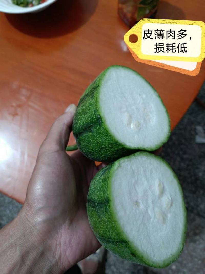 苹果丝瓜，广东广西湖南价格