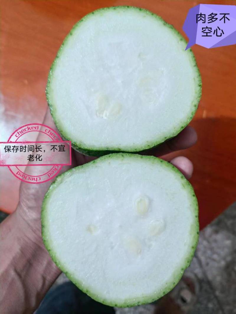 苹果丝瓜，广东广西湖南价格