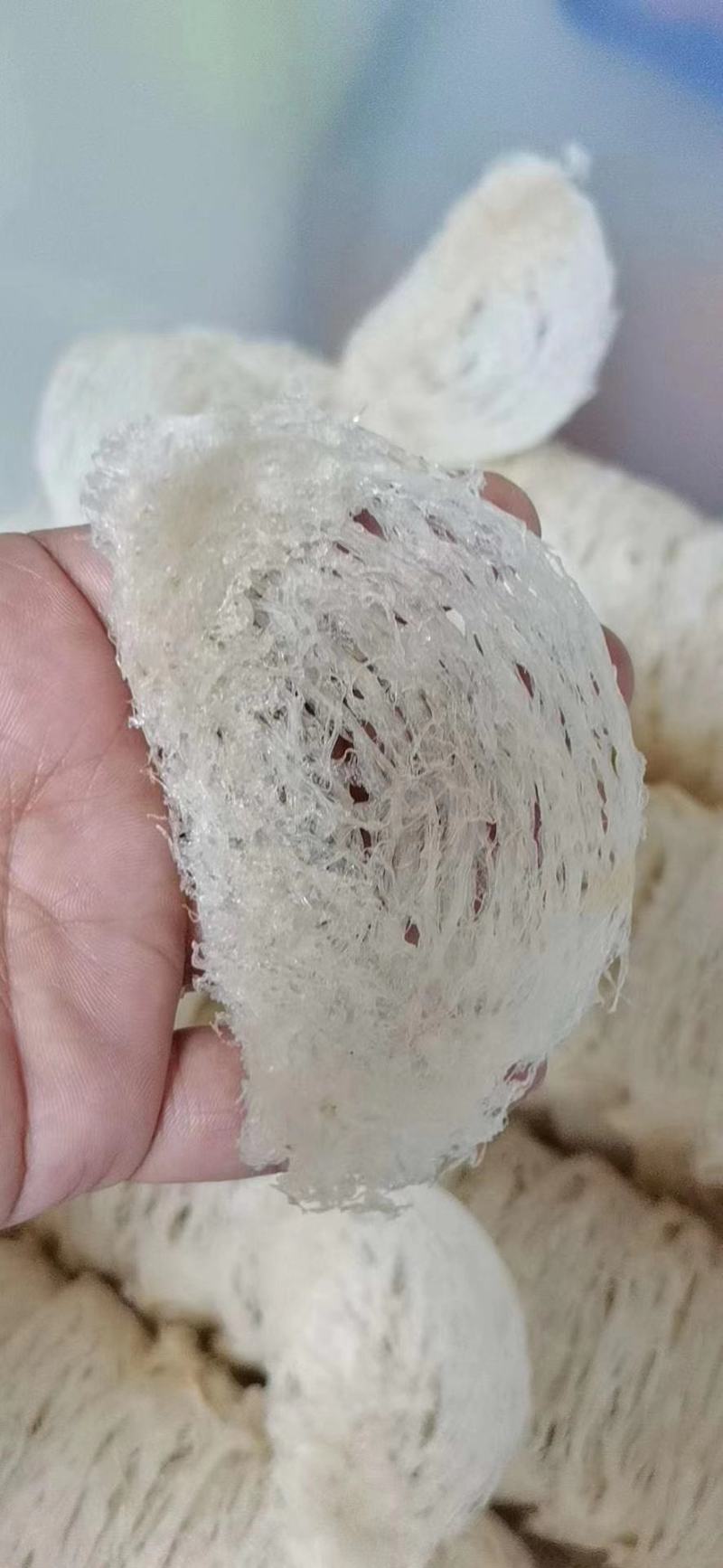 燕窝碎高品质燕碎零添加高泡发亏本引流一件代发