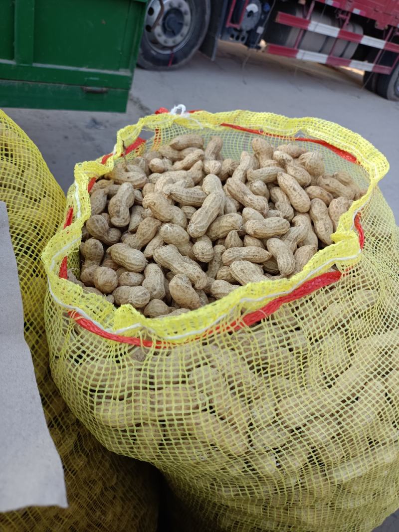 鲜花生大白沙(电商）超市纯手工摘果