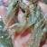 小海虾，河虾虾米一手货源，每天有货，大量有货批发零售
